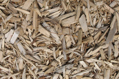 biomass boilers Uyeasound